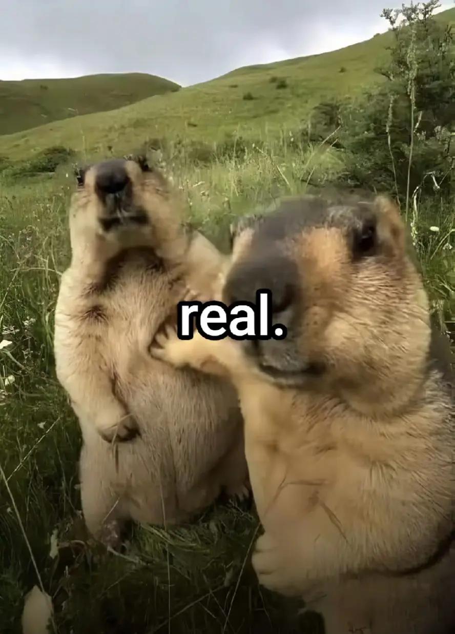 @ТУЗ