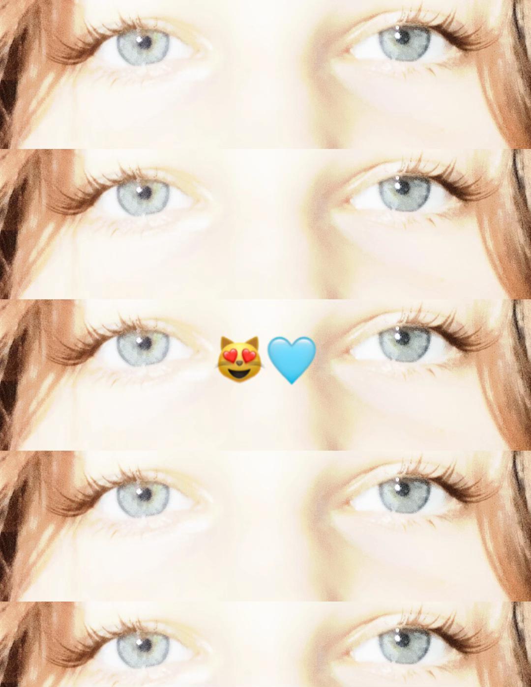 @👑🧸