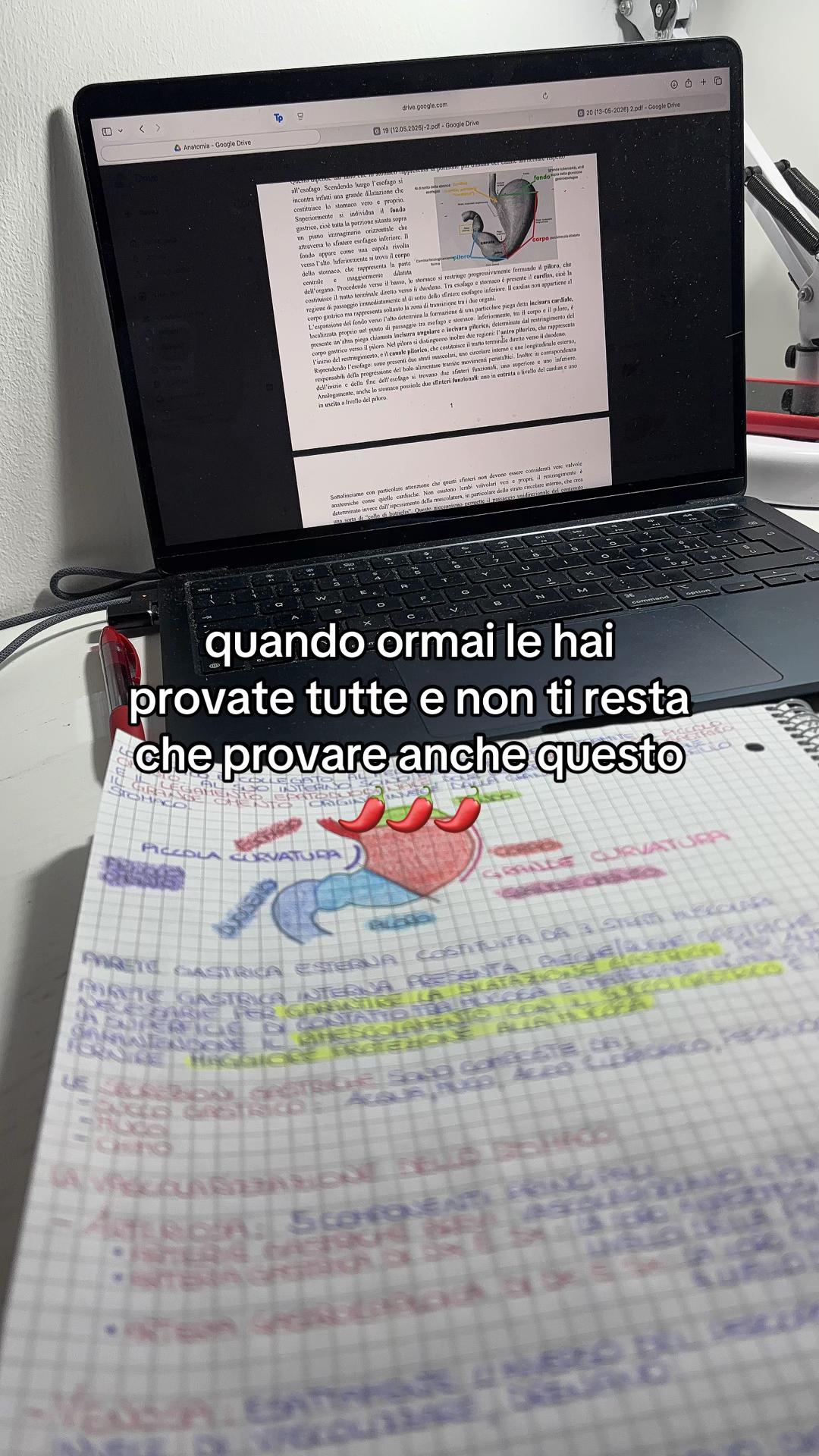 @fuorisede104