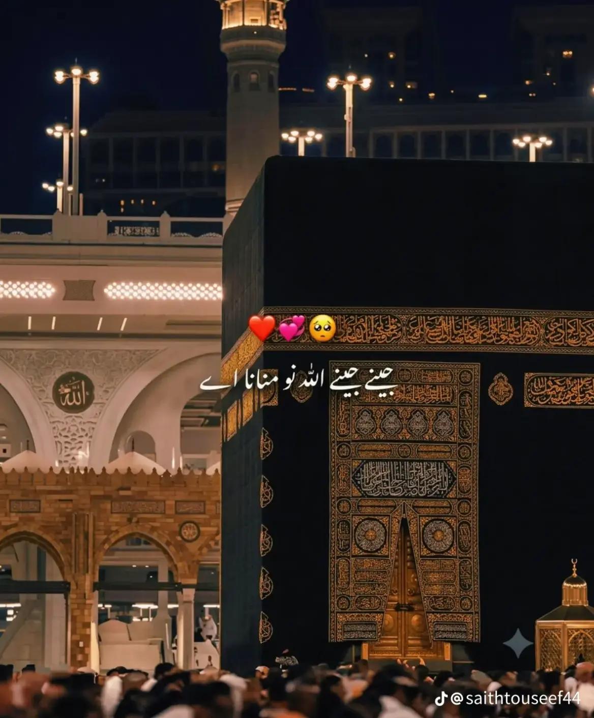 @👑🦅عمر جانی🦁🇱🇾