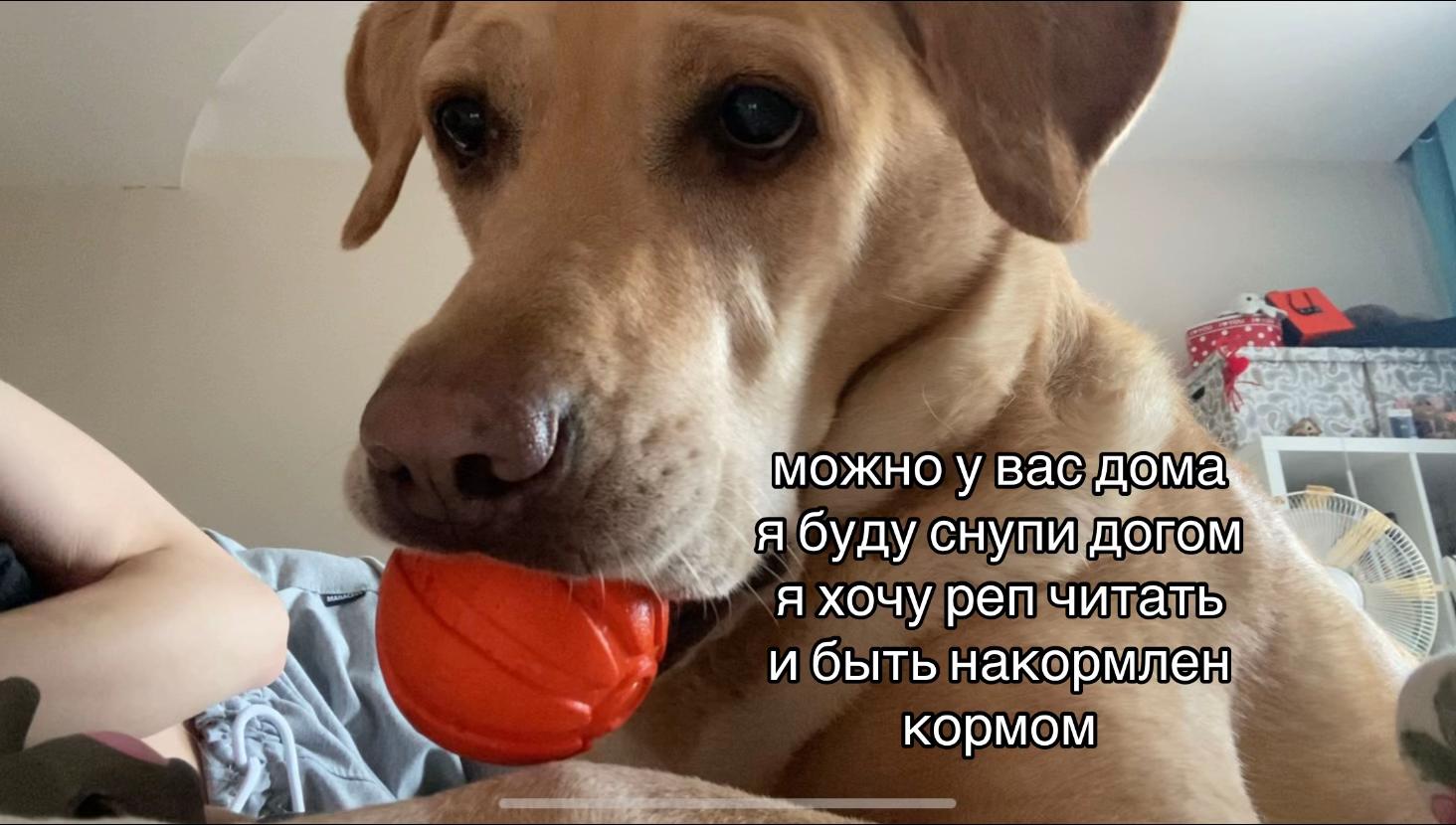 @._.