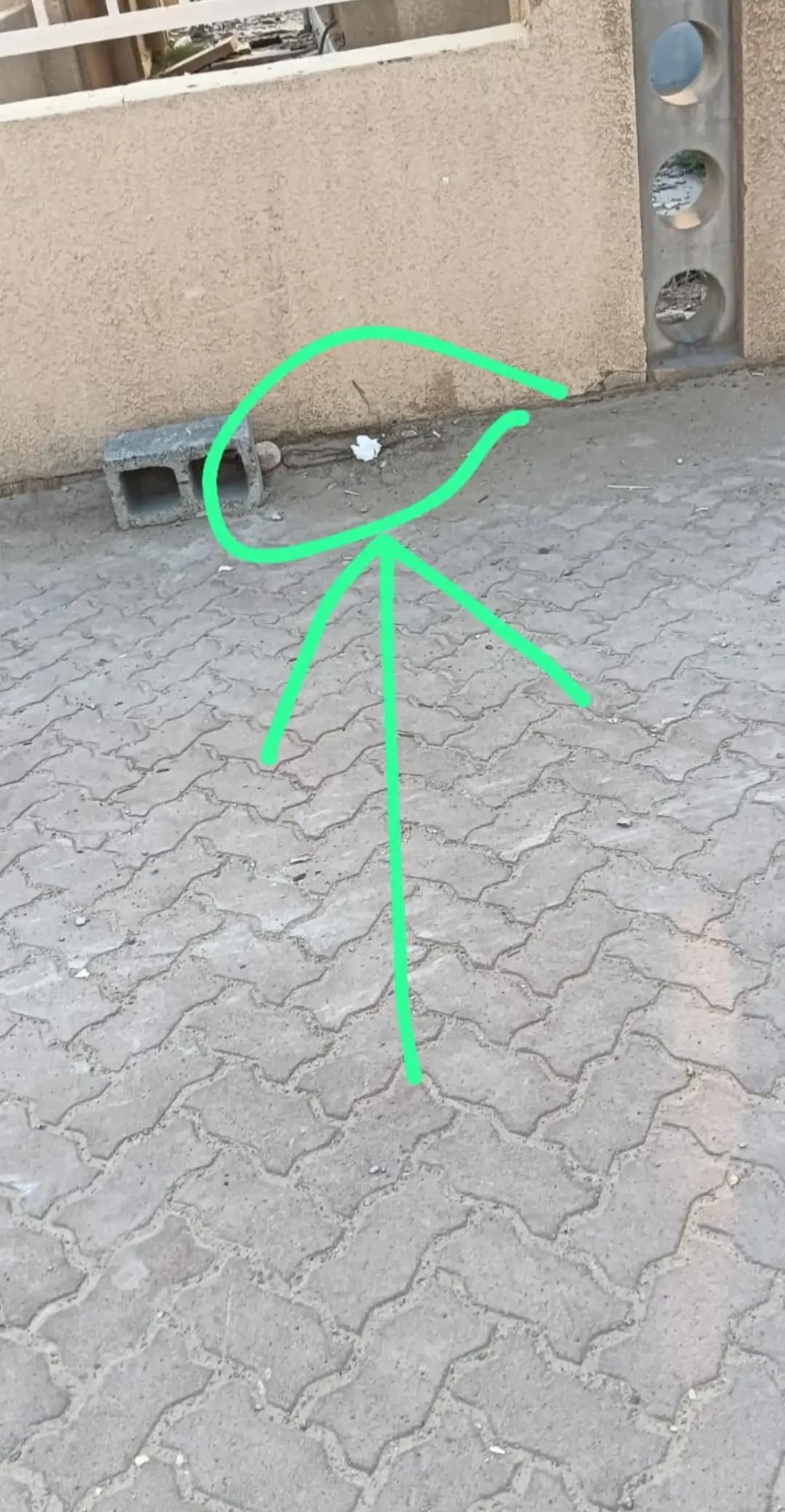 @محمد قاسم