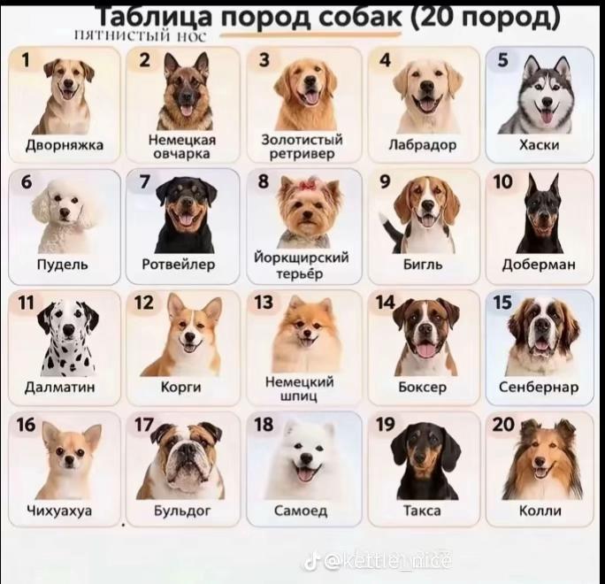 @emmk.qqq