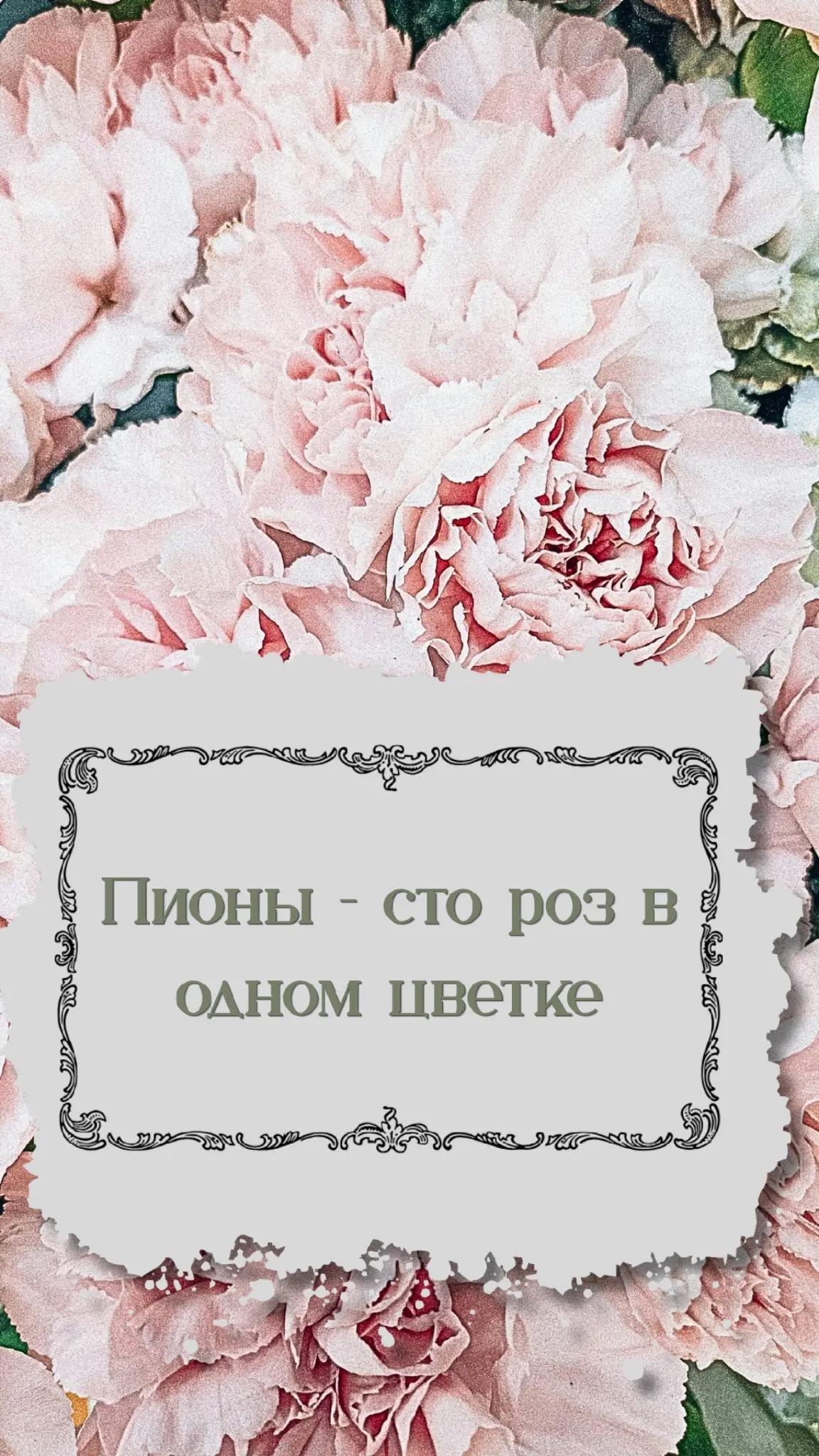 @eleceed284
