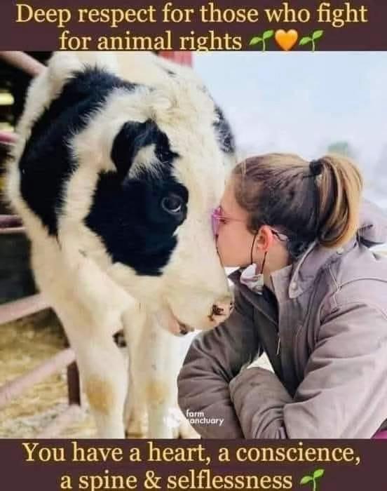 @animalliberationscotland