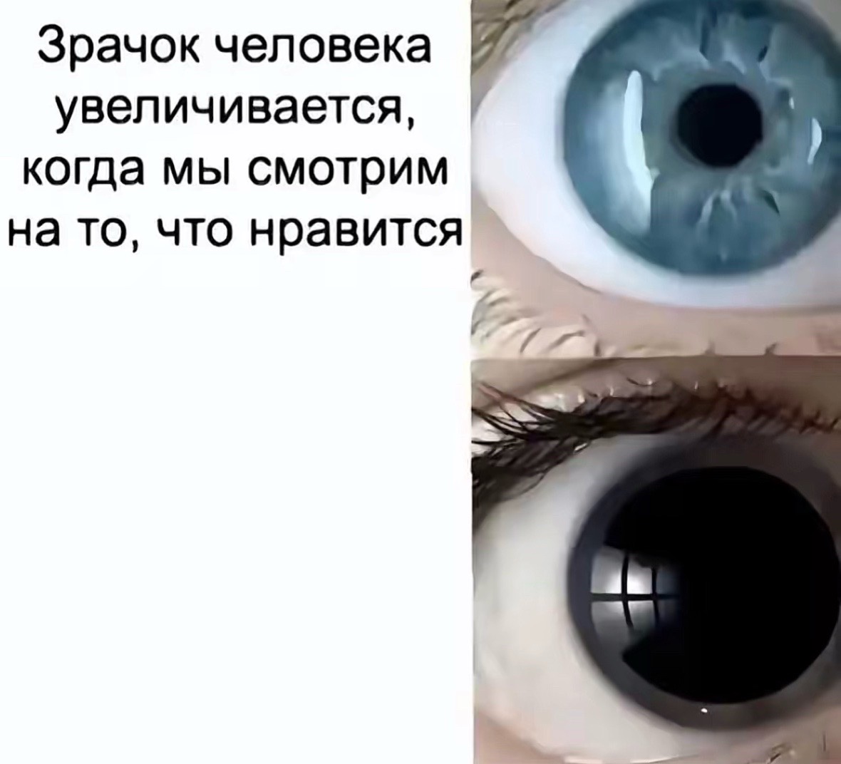 @тгк: greeneyedboyf