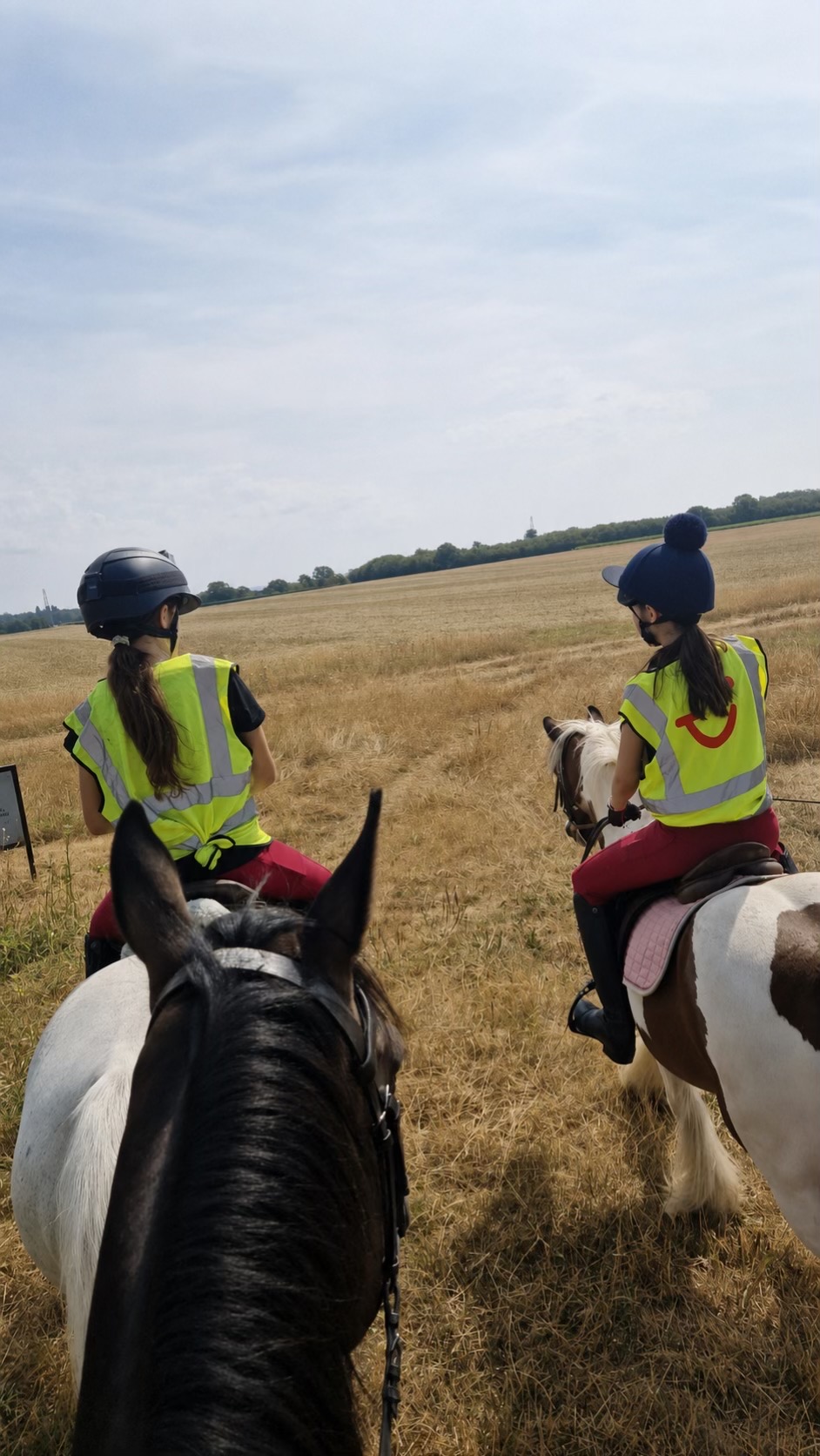 @Kitty equestrian.