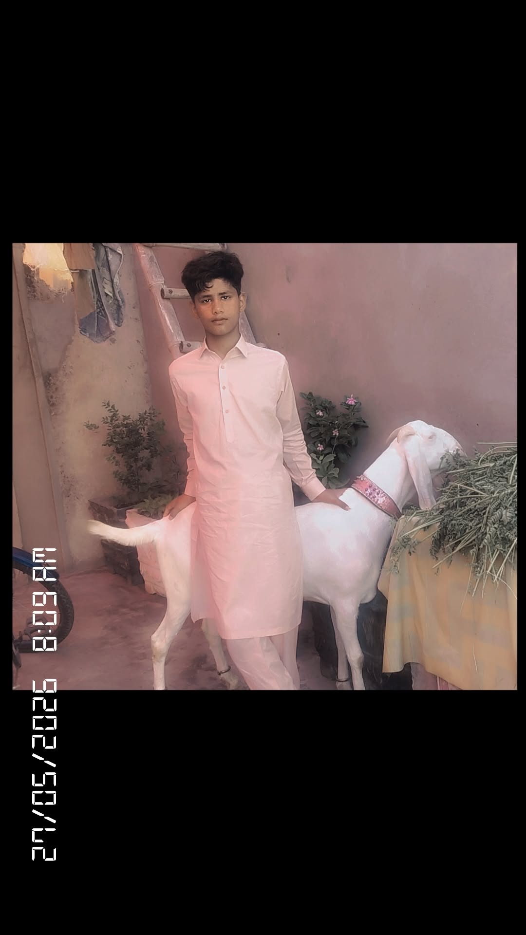 @Hasnian Shahbaz Qazi