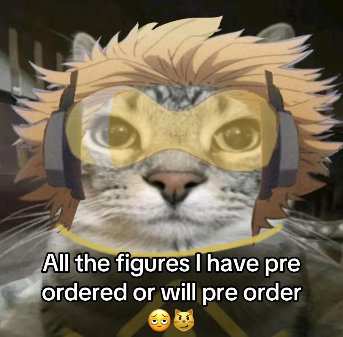@USAGI figures