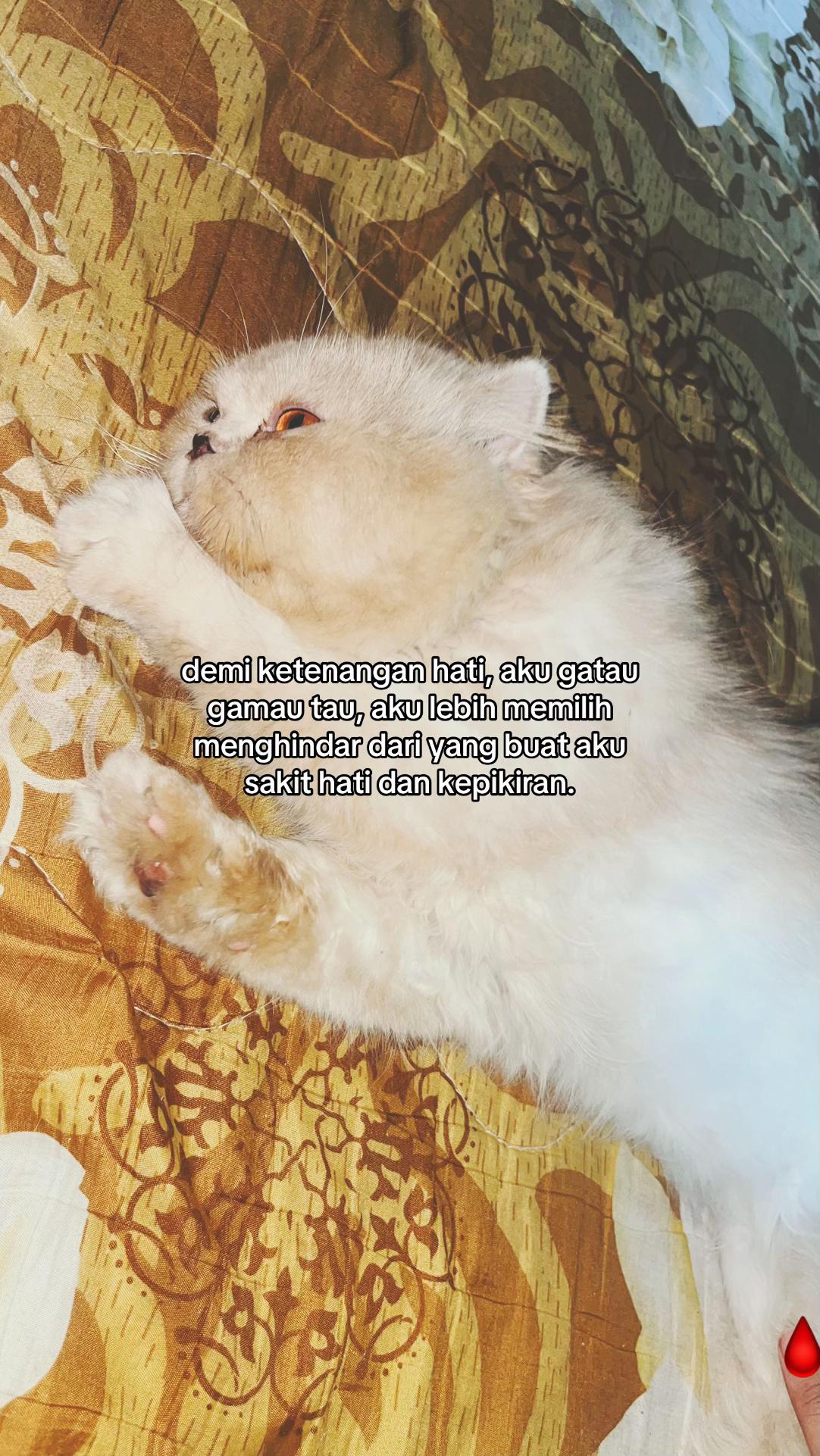 @𝙗𝙚𝙡𝙨𝙝𝙞☕️