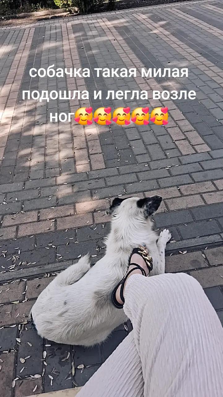 @❤️Tatiana&Artur🥰🥰🥰🥰❤️❤️❤️