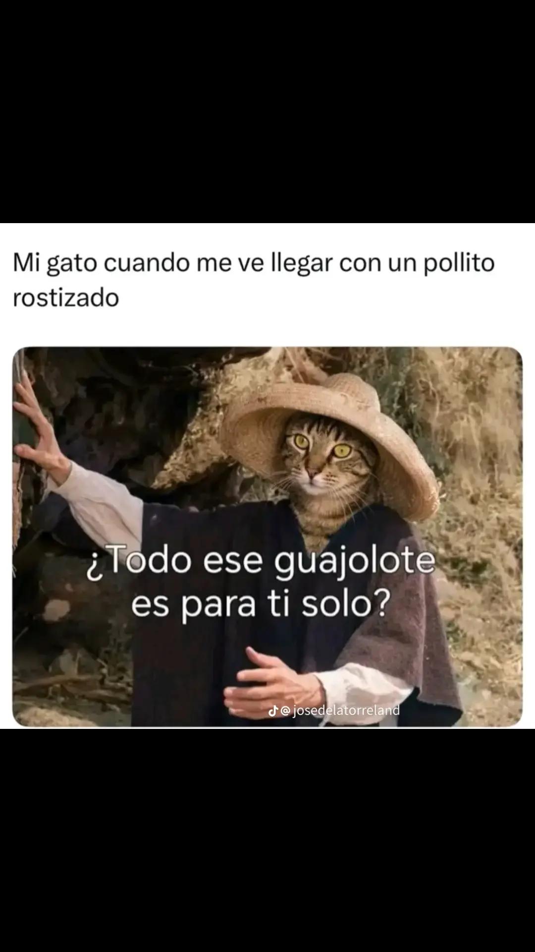 @Pandajadas!