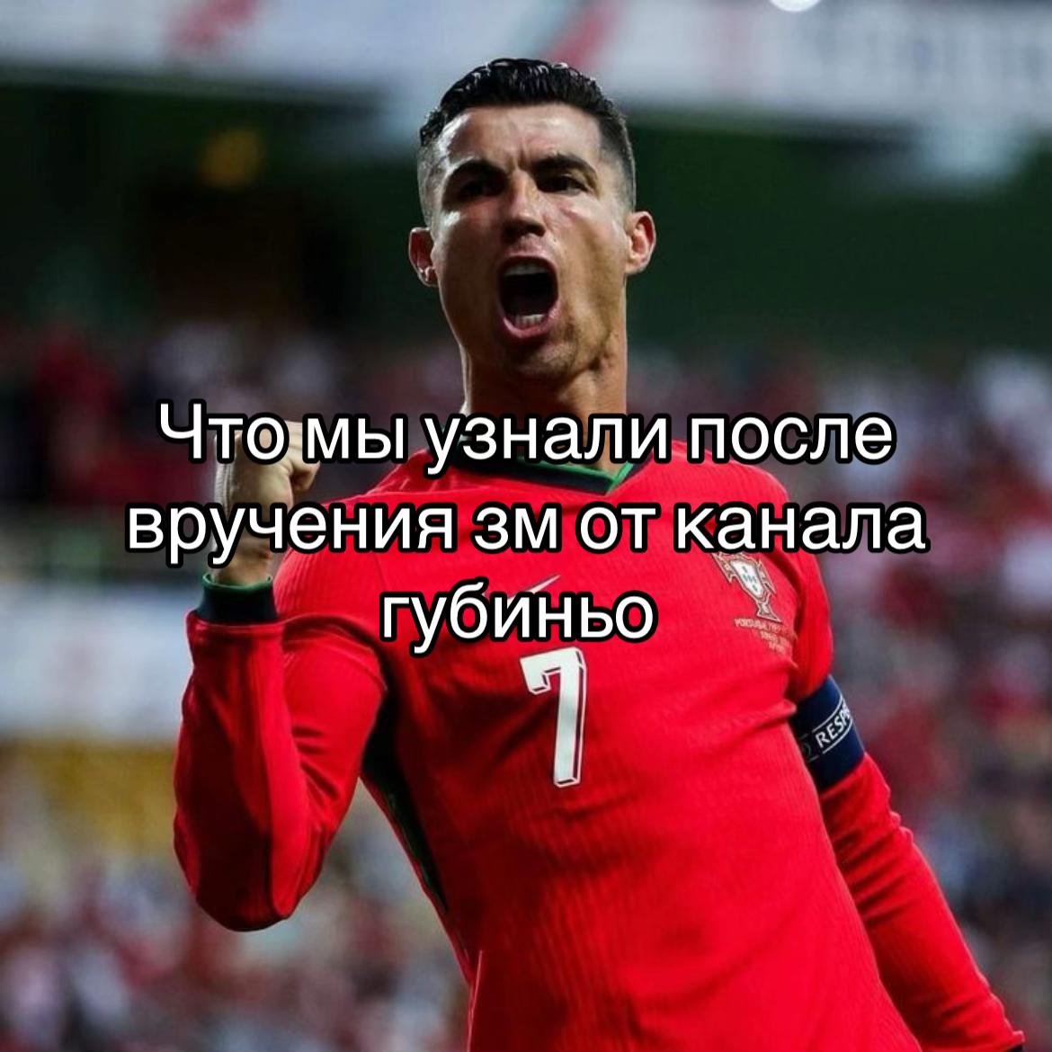 @Смешная желтая собака