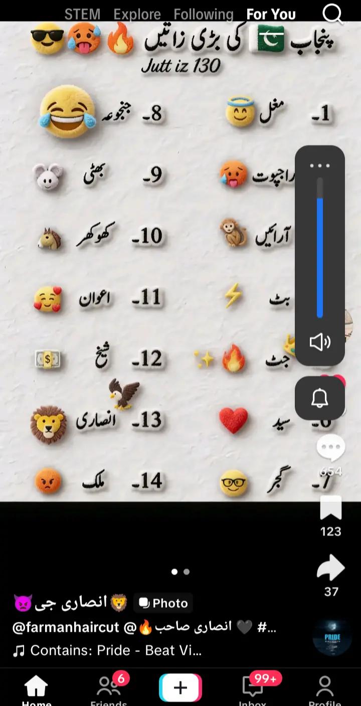 @TANVEER Ahmed 229