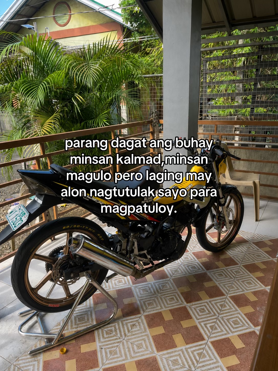 @PALYADONGGEN1