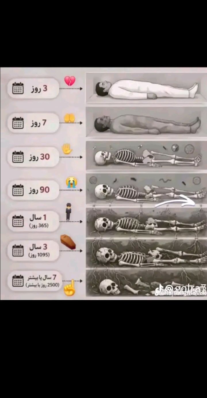 @ننګرهار ❣️
