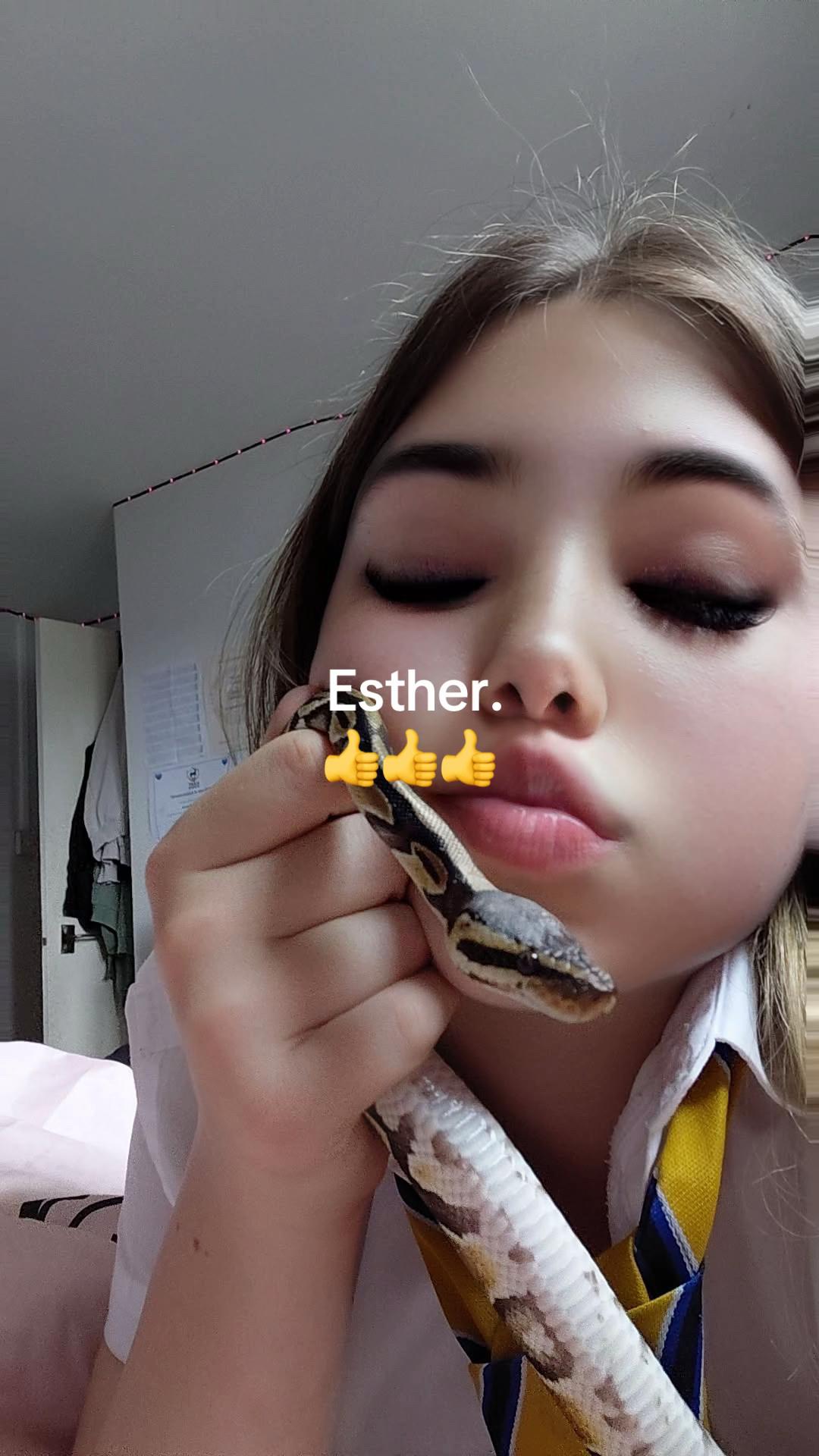 @ReksD101