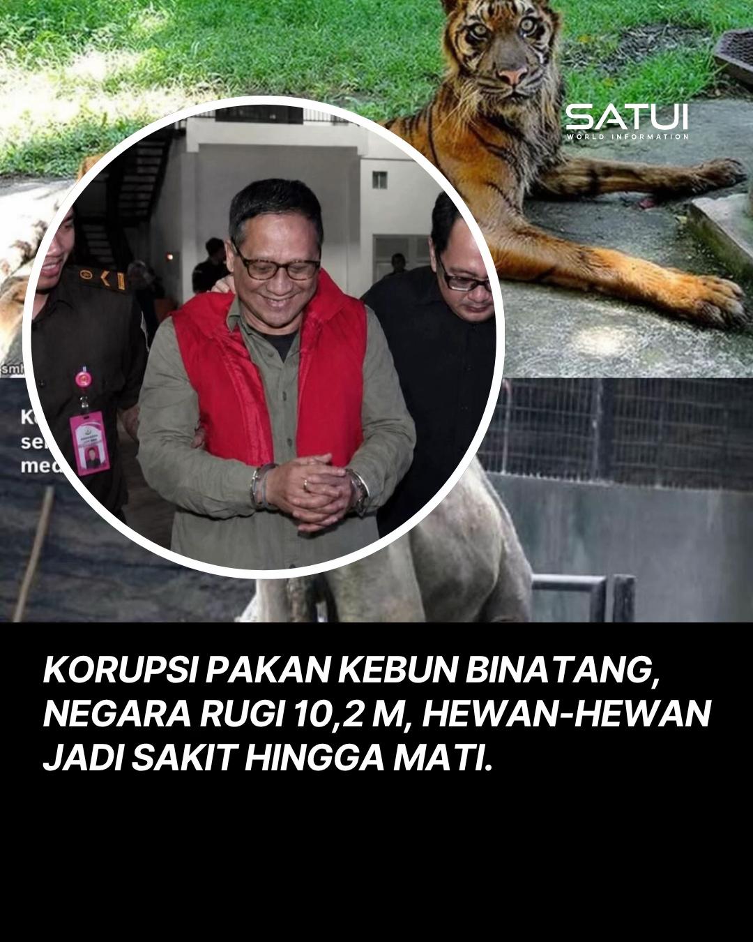 @Satui And World Infomation