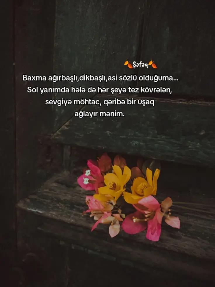 @🍂Shafaq🍂