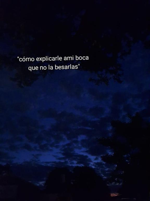 @Estefania Avila