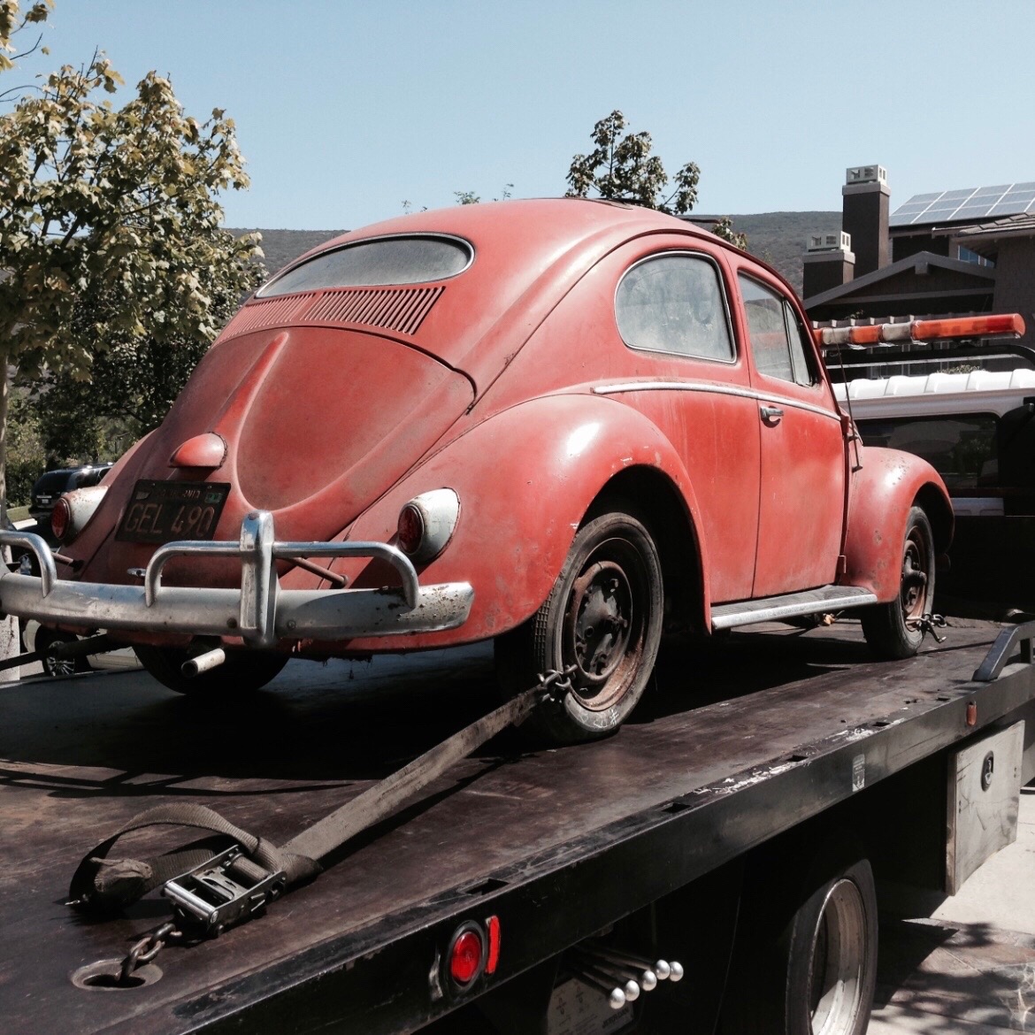 @project_beetle