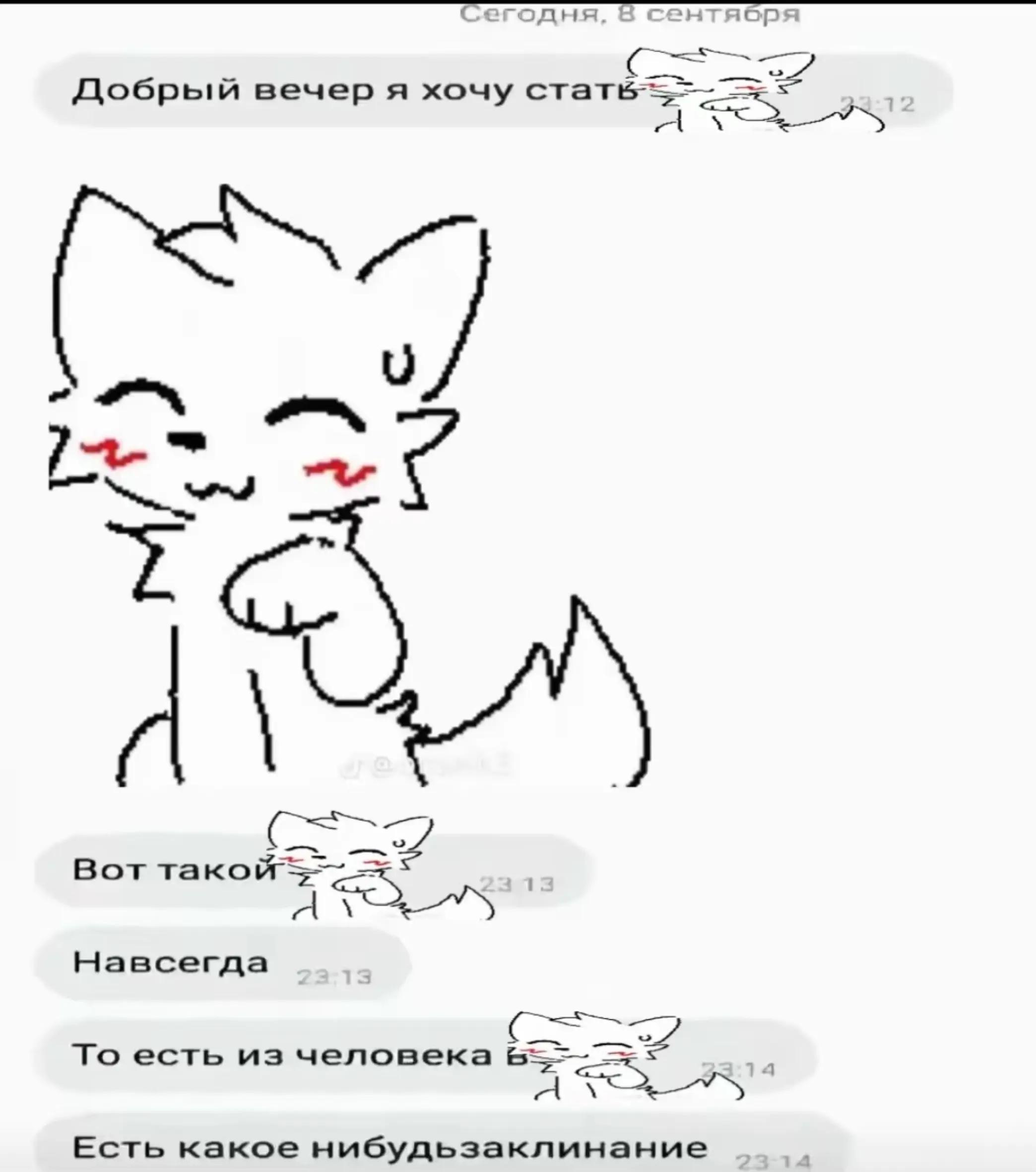 @Boykisser imperator