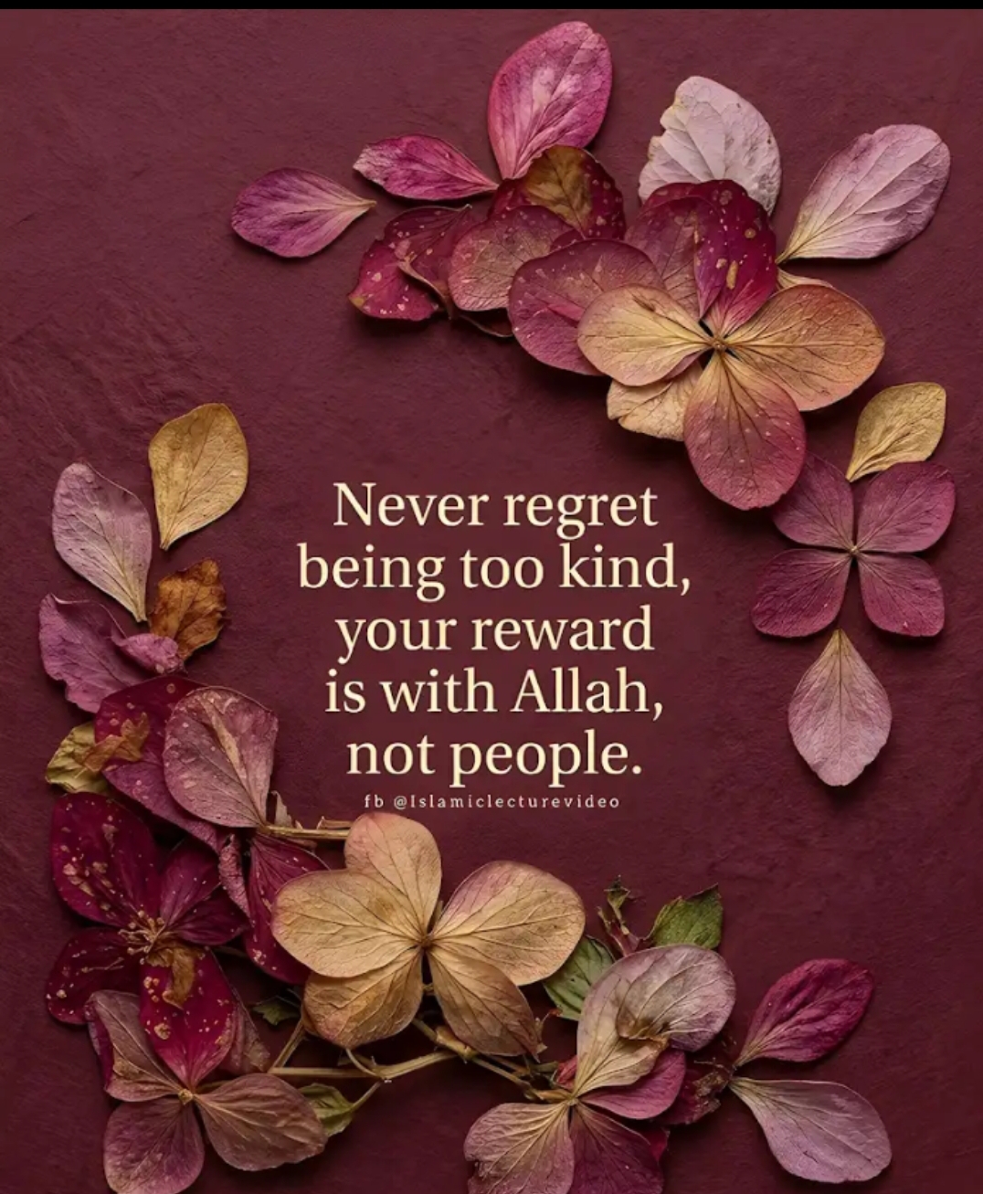 @Rizwana