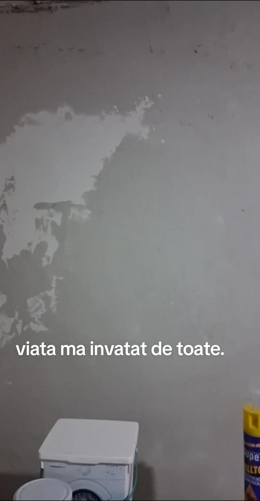 @🦢 BIBI RĂSFĂȚATA 🦢