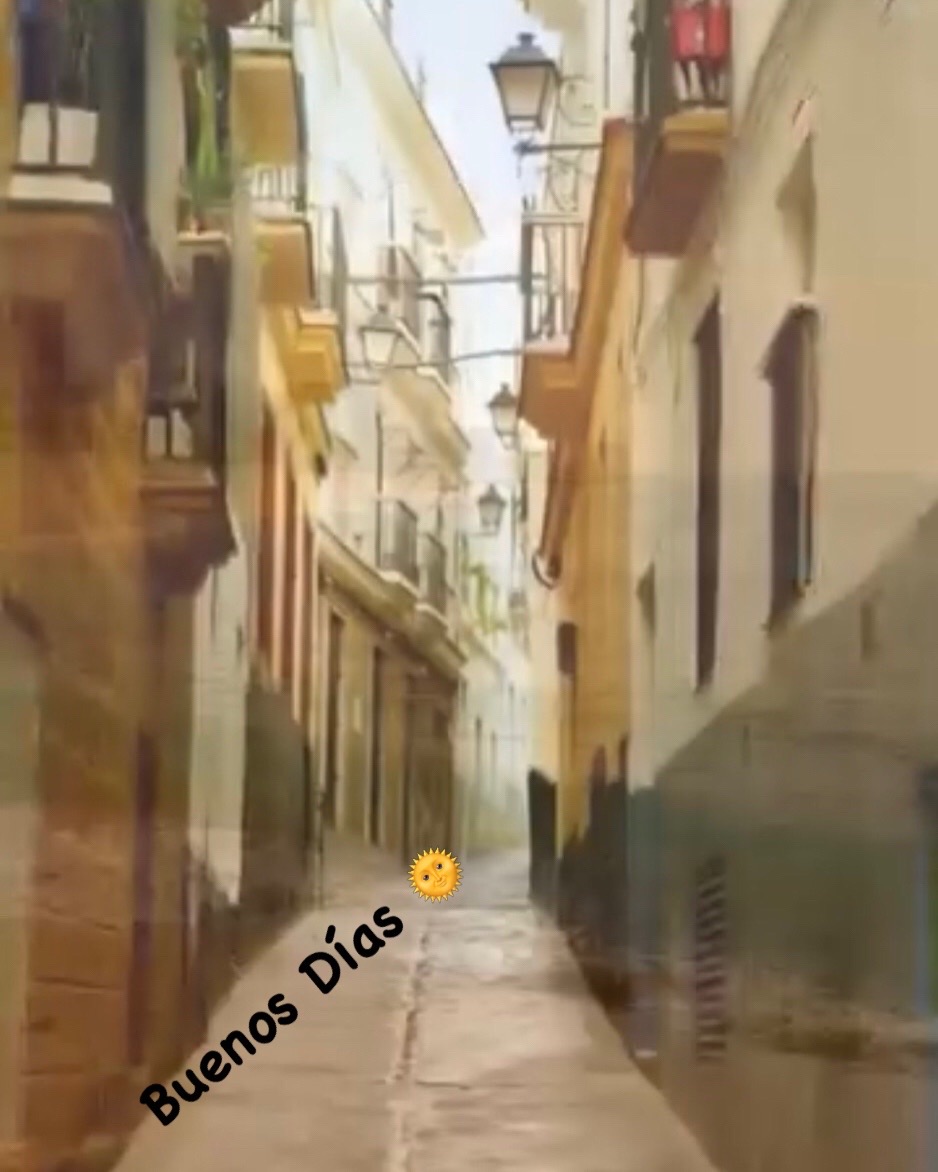 @brujiarcos