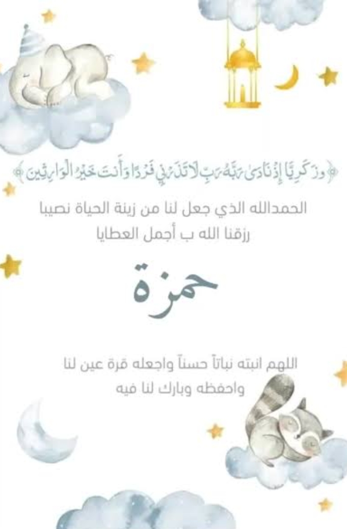 @haidy elsayed