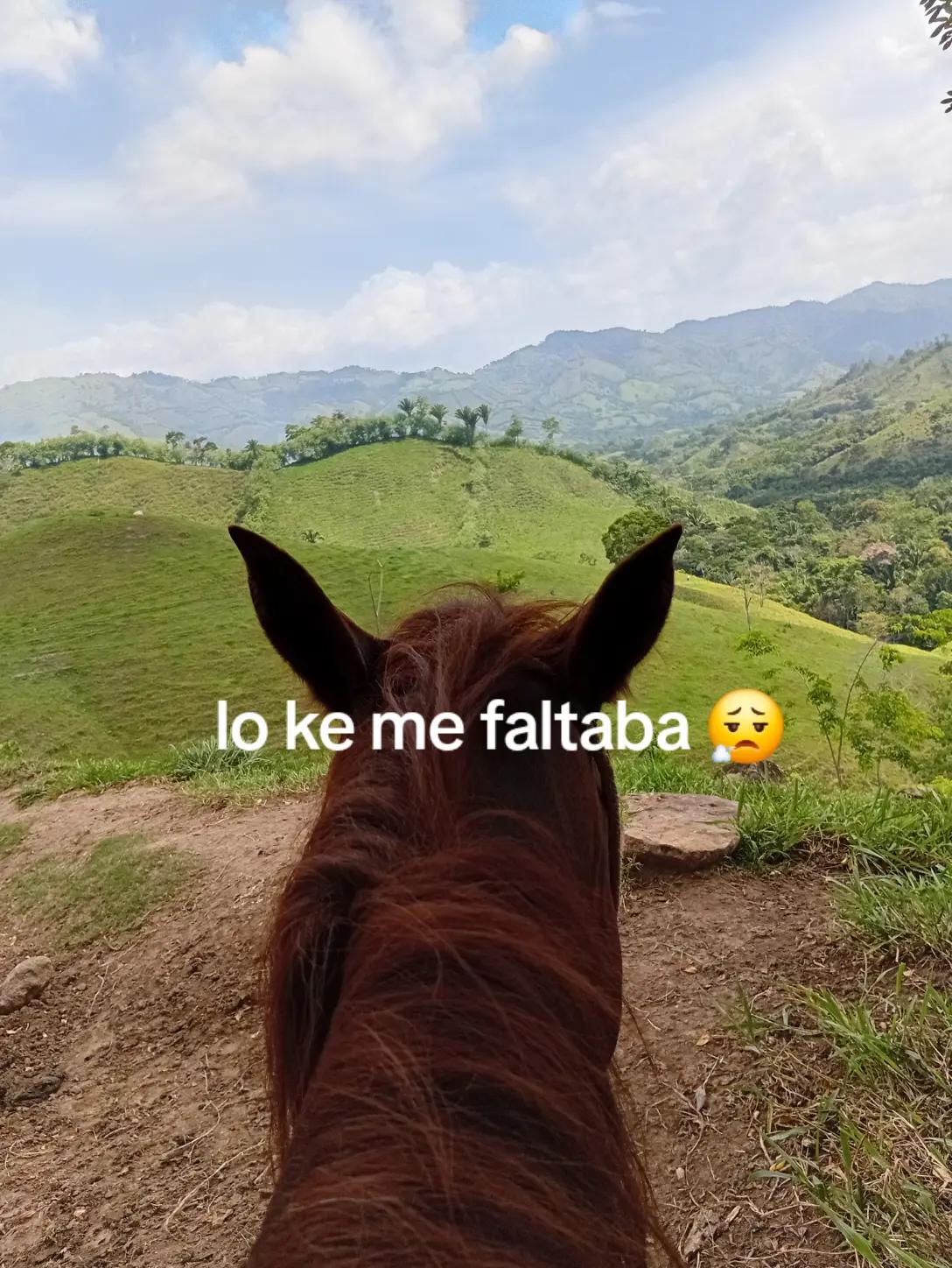 @el guapo 🤭 HN
