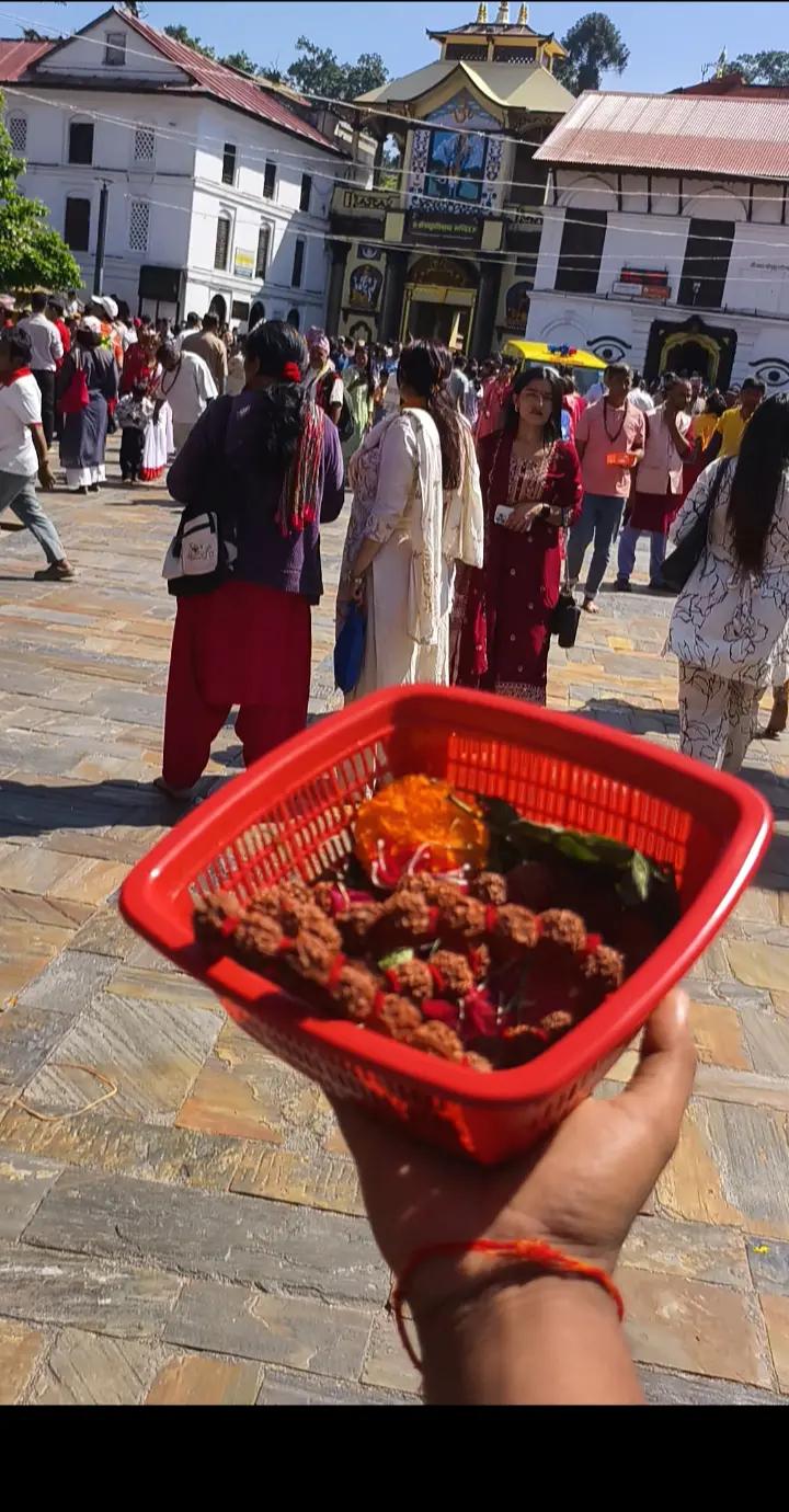 @Dharm Raj Pal 🇯🇵🕉️