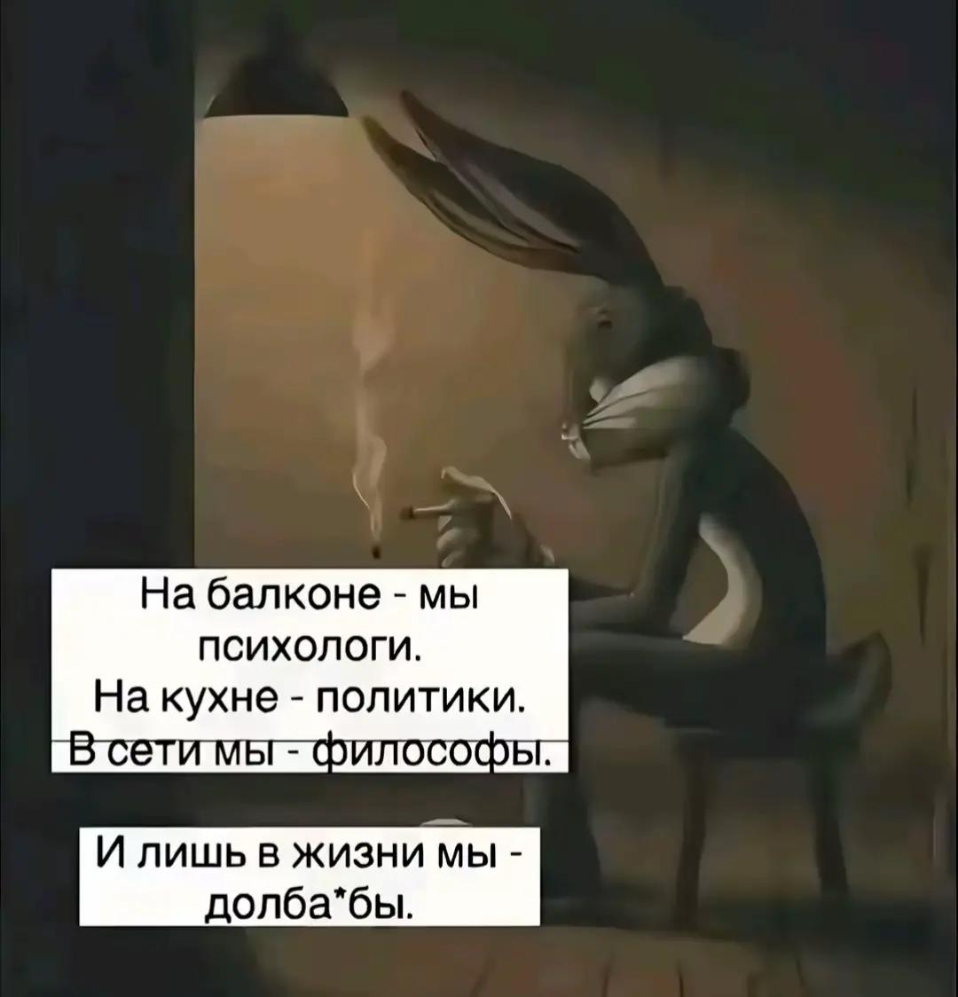@котова 🐈⬛