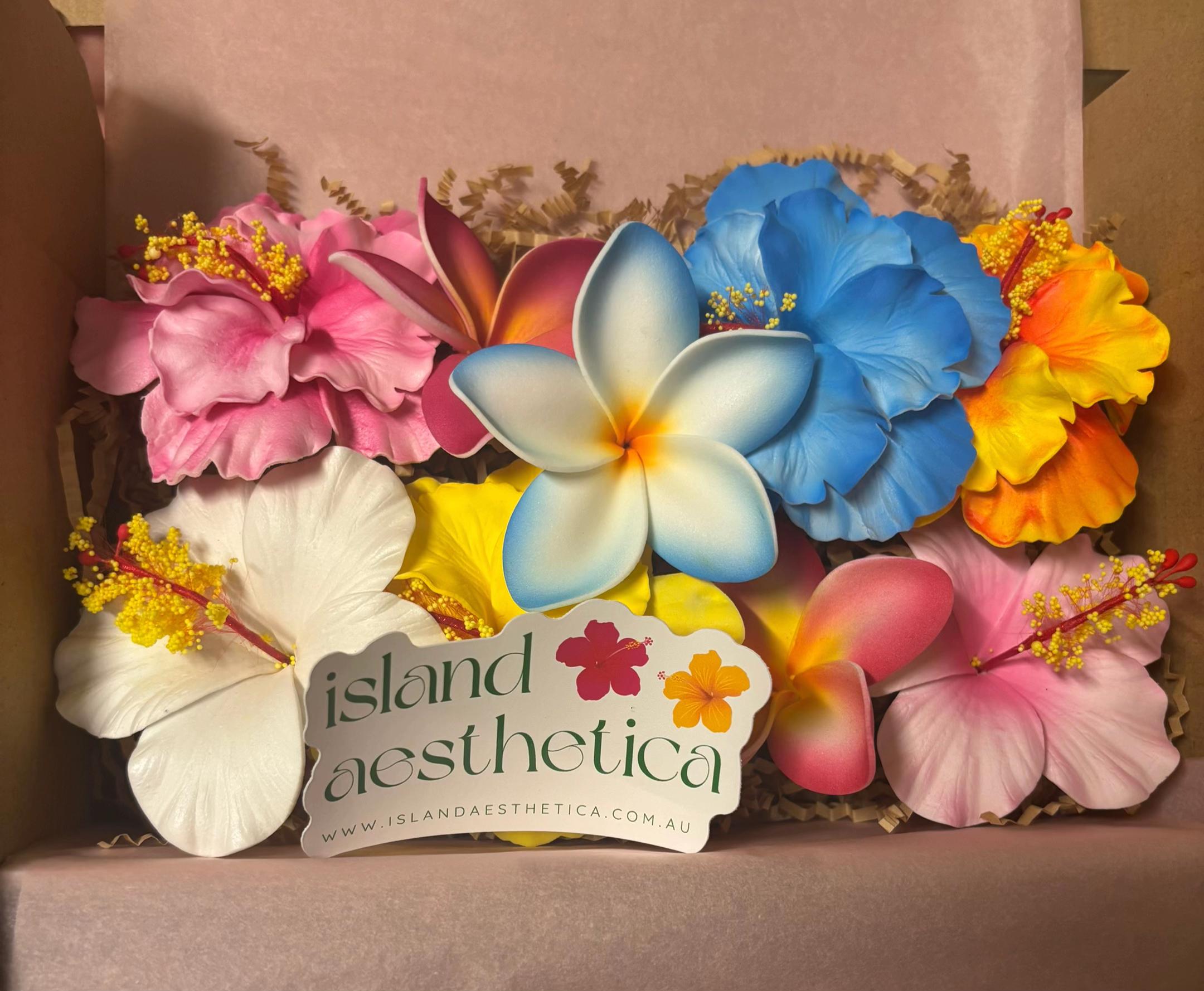 @Island Aesthetica 🌺
