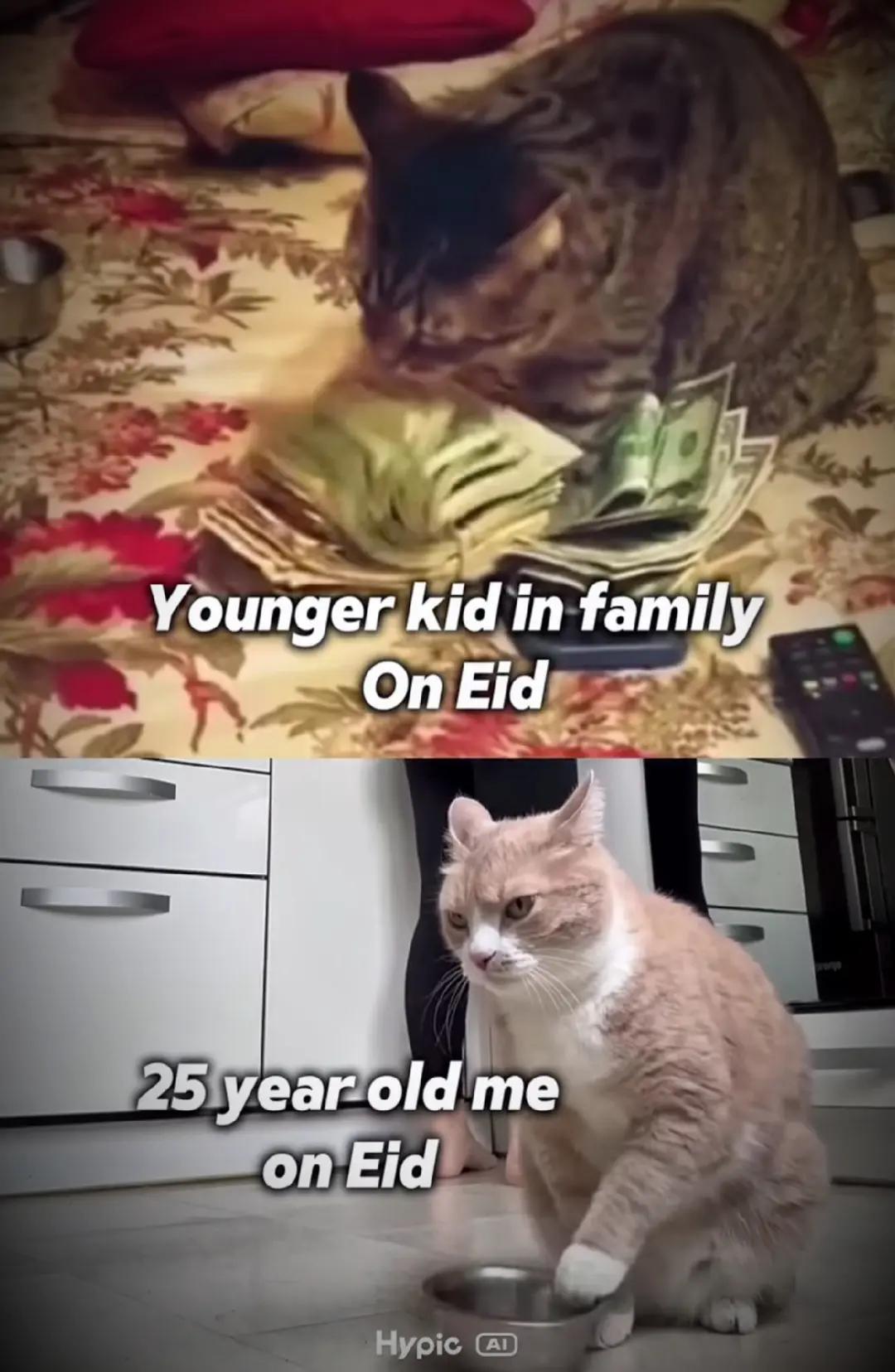 @đâ¨á´ļáĩ
đáģĘŗâī¸âĄ•âš