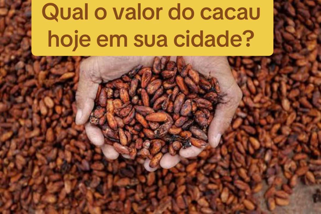 @Professora Avanir