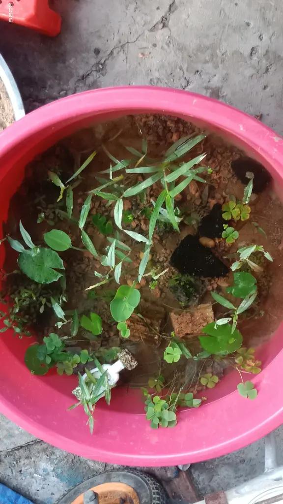 @ᅟᅟᅟᅟᅟℭỏ  𓆉