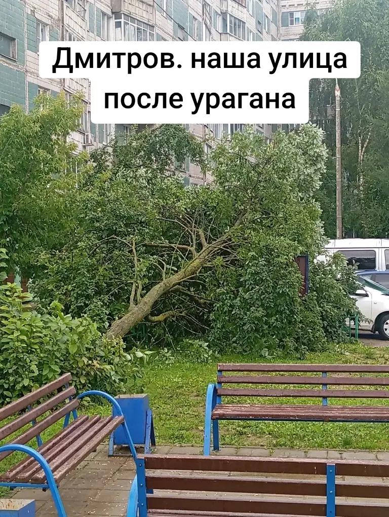 @vaisblumFM