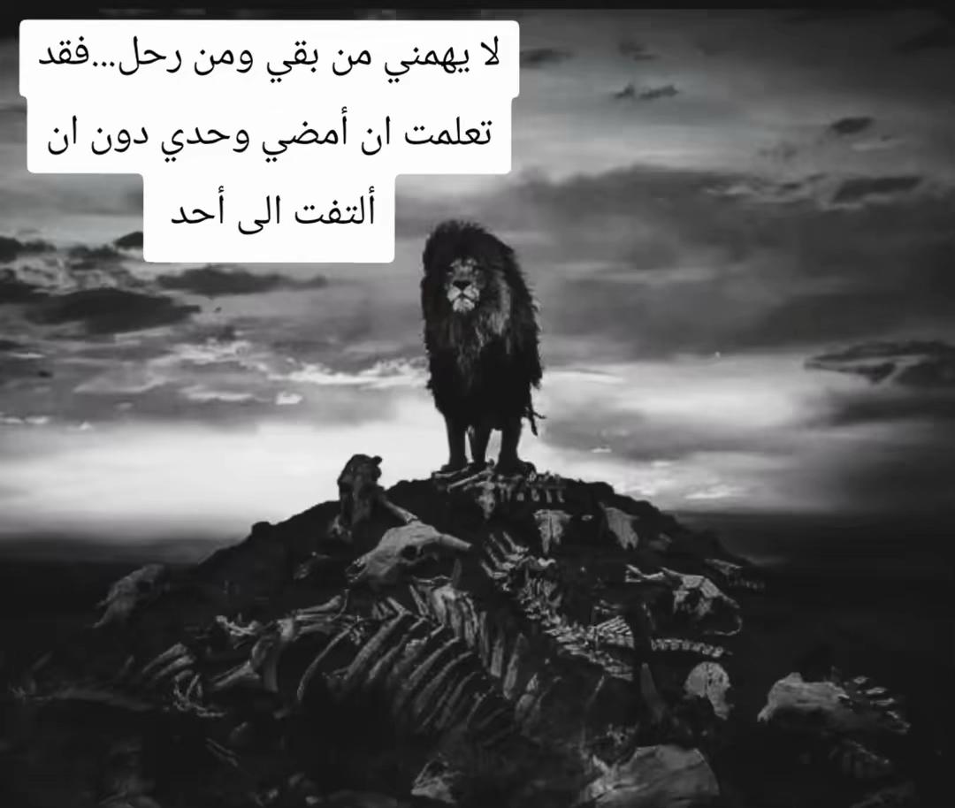 @🦁 scarface 🦁