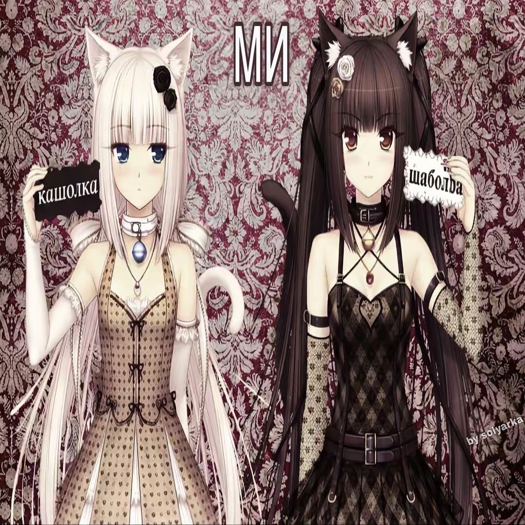 @n1vo🗡️
