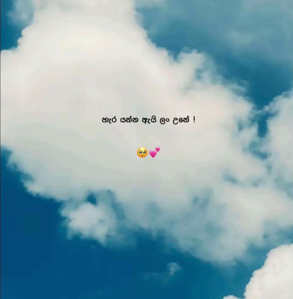 @ᐯ丨ᗪㄩ (විදු) 😩🤍🥀