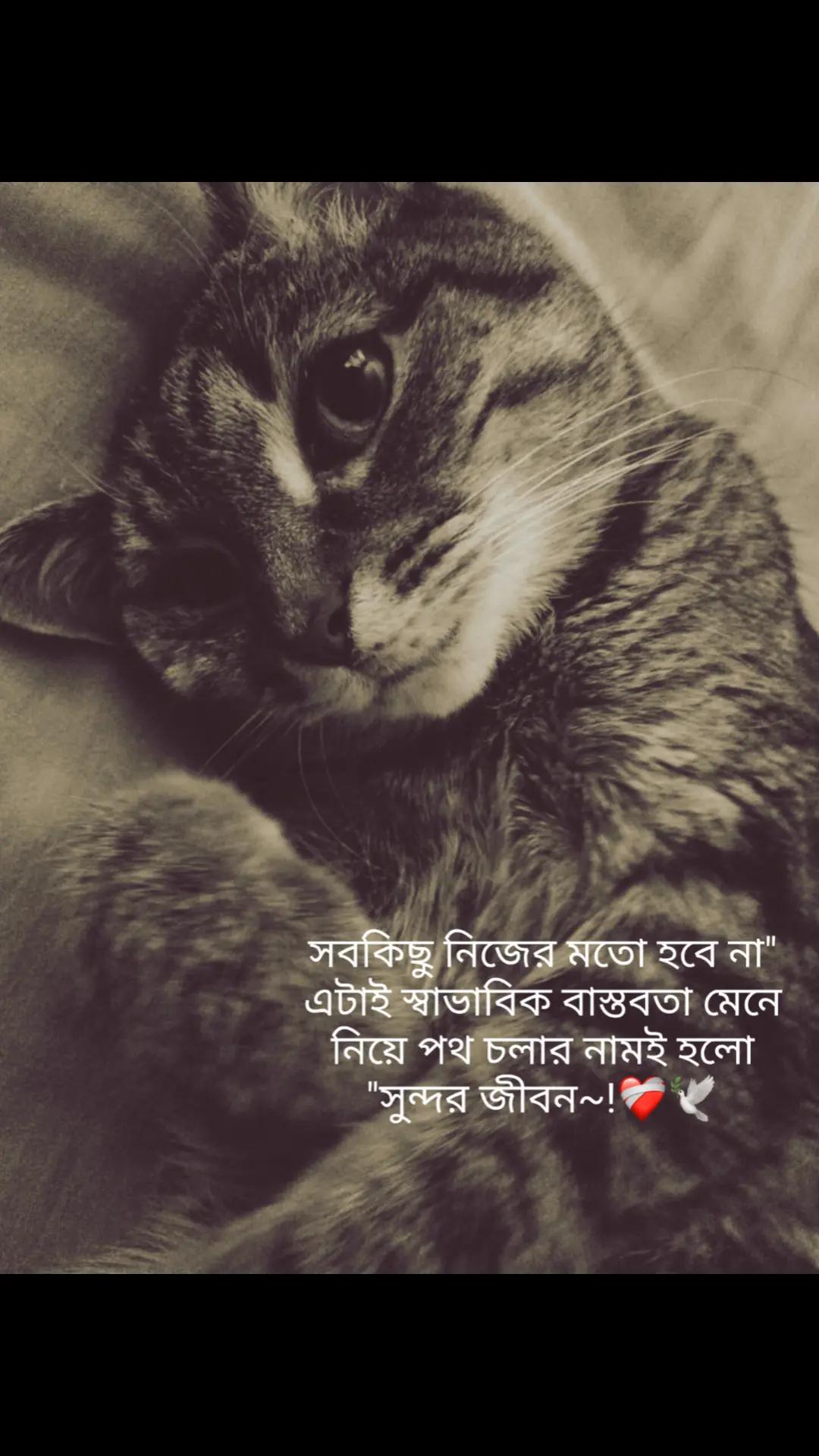 @Tamuuđ