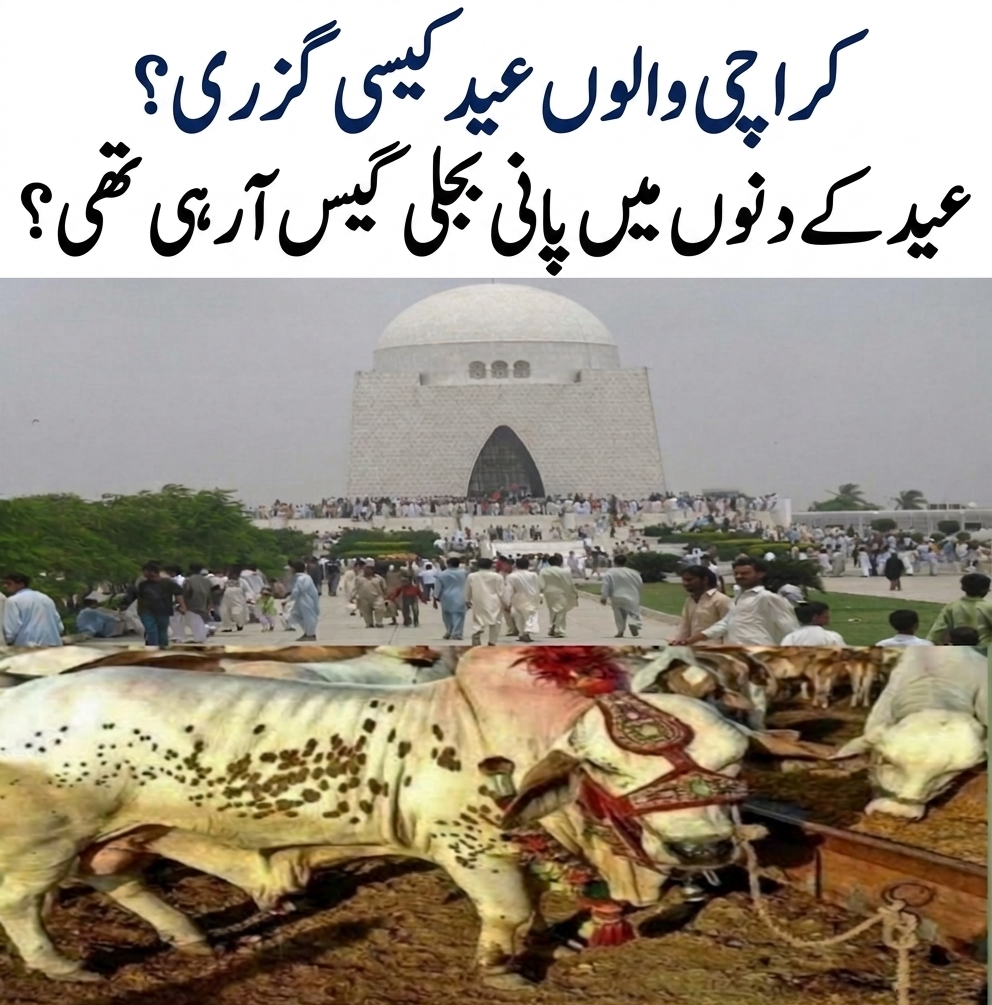 @sumair jamil346 @sumi