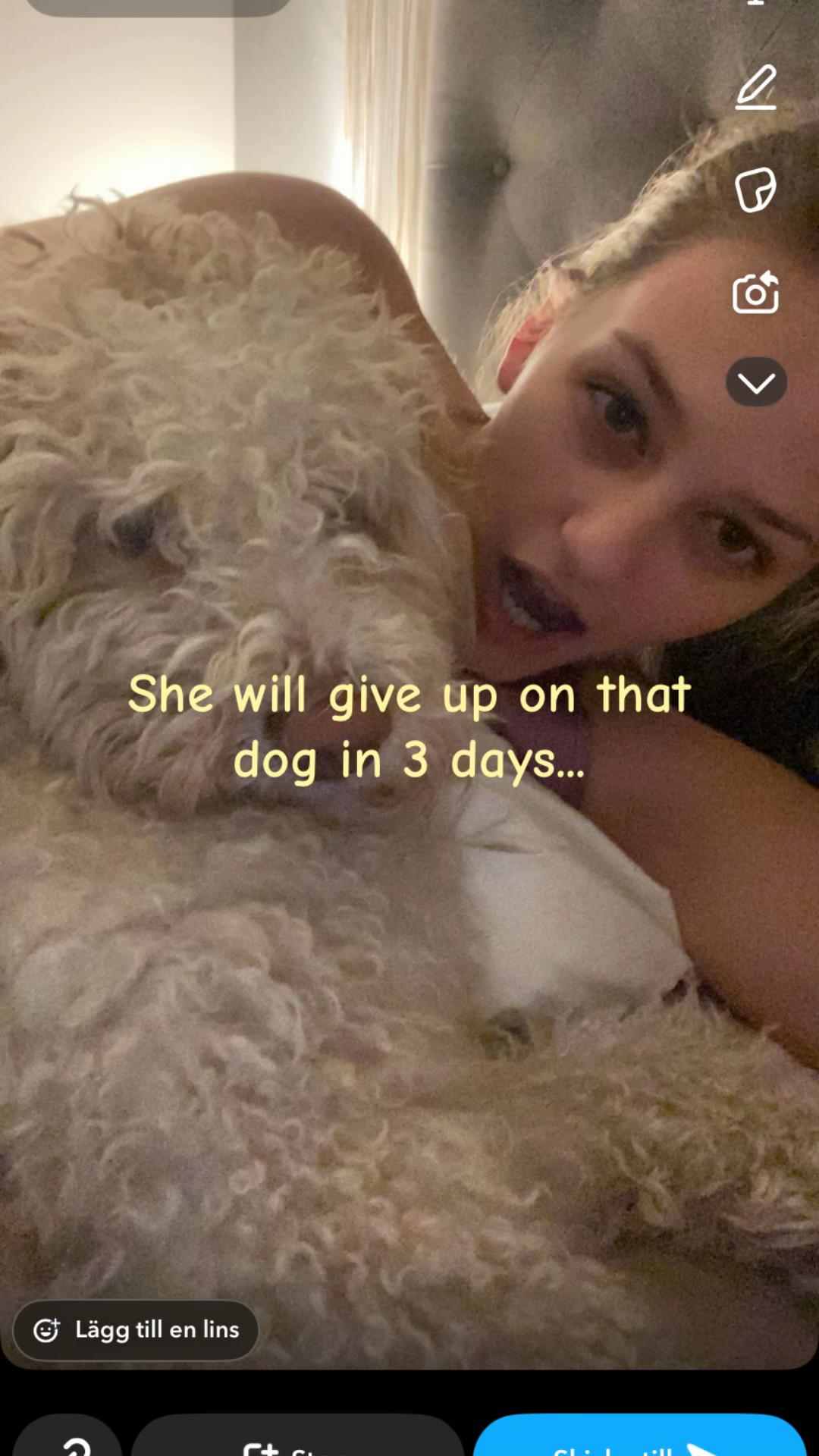 @Alicia