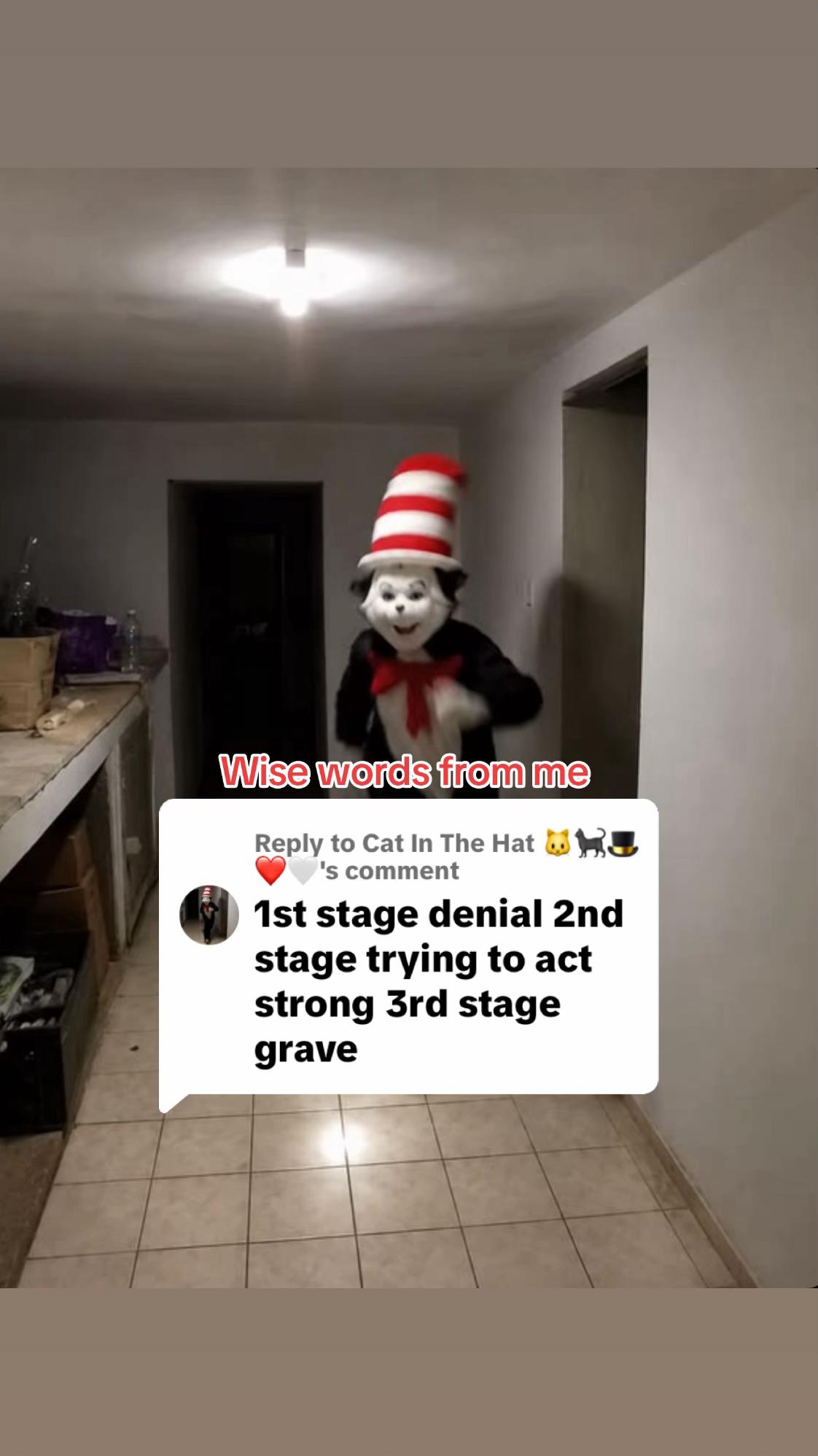 @Cat In The Hat 🐱🐈⬛🎩❤️🤍