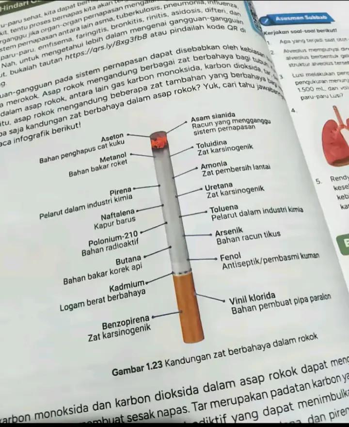 @kanjut badak