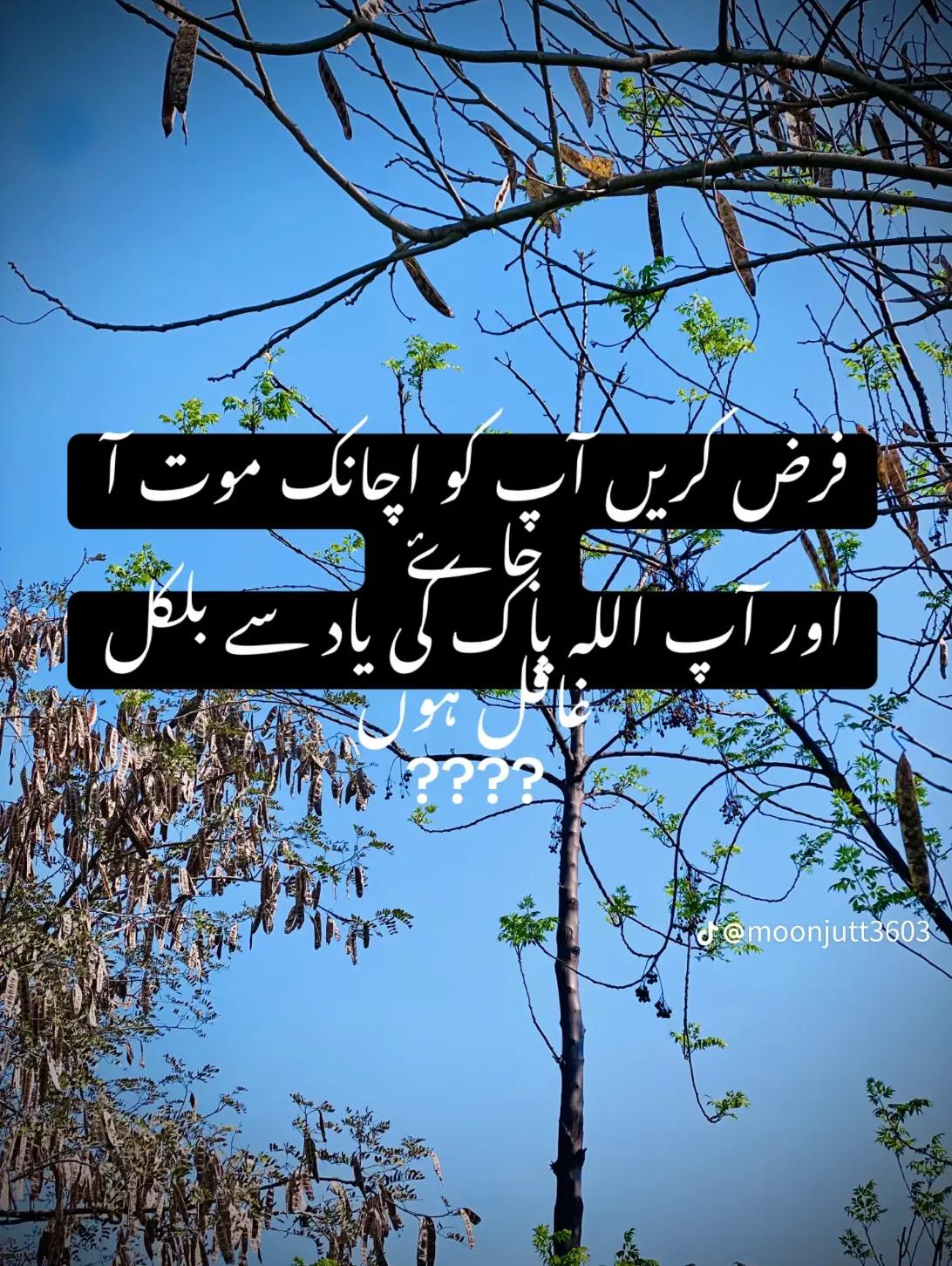 @⚜️ چوہدری ⚜️☠️
