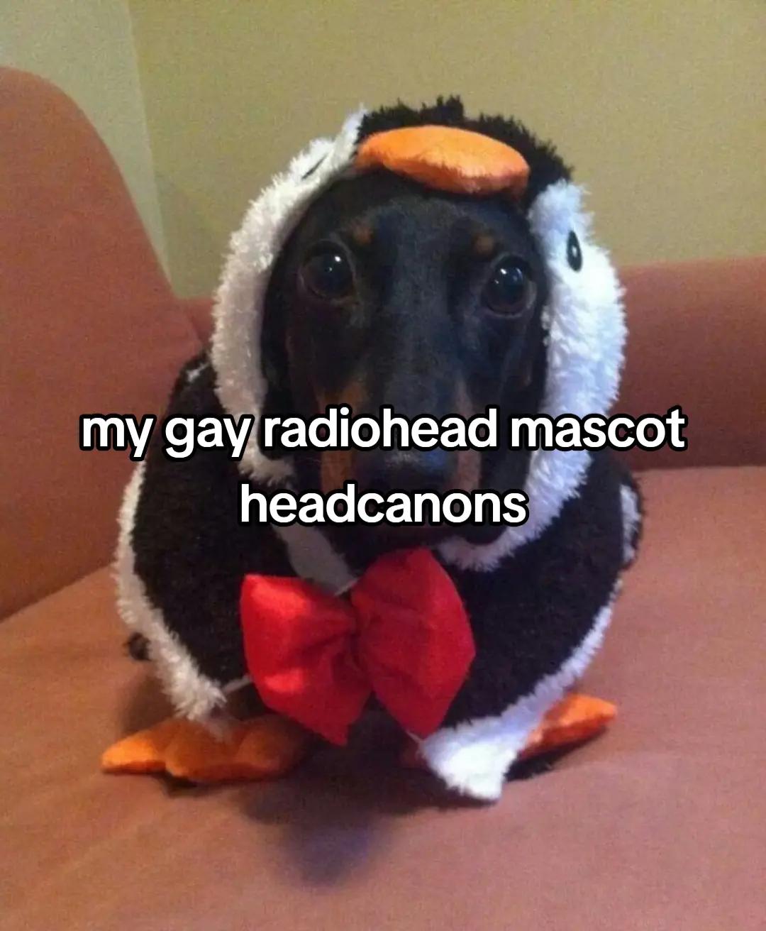 @alice (COMMS OPEN)