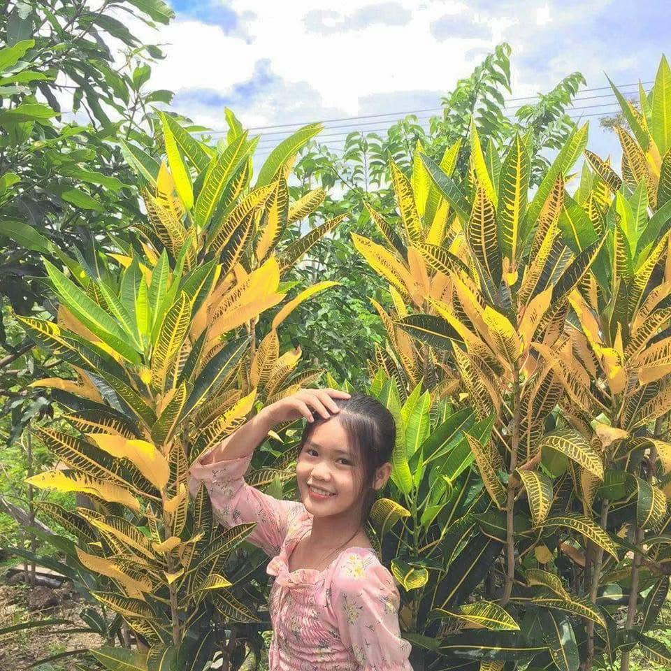 @ມັກກີນເຂົ້າປຽກໄກ່🍜🥤