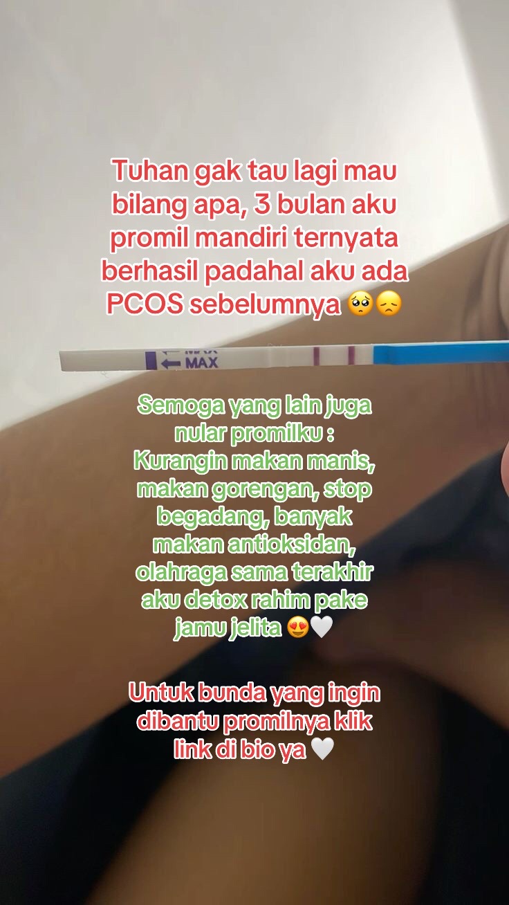 @promilholistik
